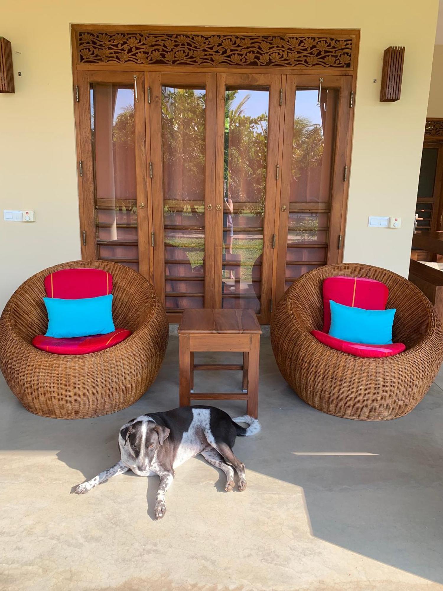 Wild Lotus Yala Villa Тисамахарама Екстериор снимка